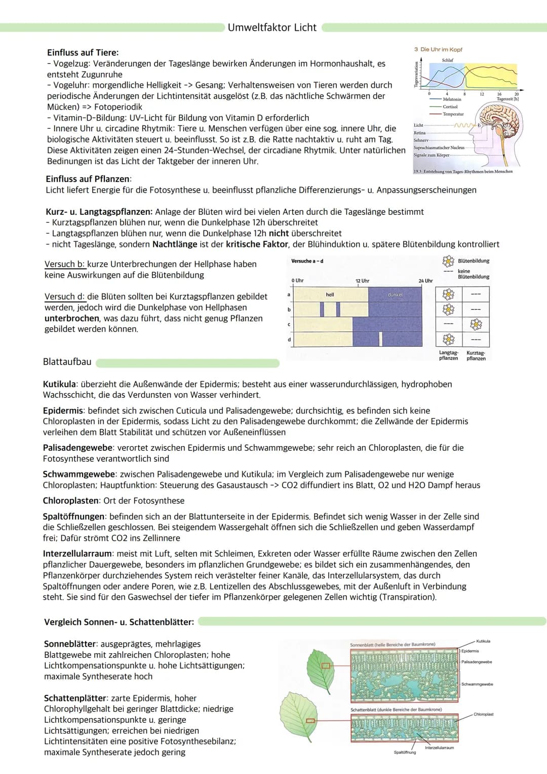 Ökologie
Ökosystem: Wechselbeziehungen zwischen Organismen und ihrer Umwelt; dynamisches Beziehungsgefüge
aus Biozönose (Lebensgemeinschaft)