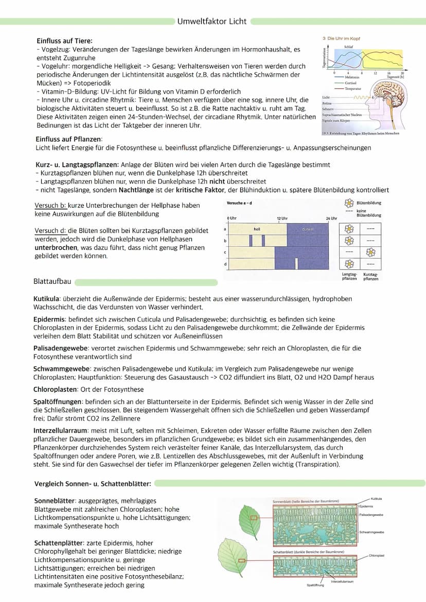 Ökologie
Ökosystem: Wechselbeziehungen zwischen Organismen und ihrer Umwelt; dynamisches Beziehungsgefüge
aus Biozönose (Lebensgemeinschaft)