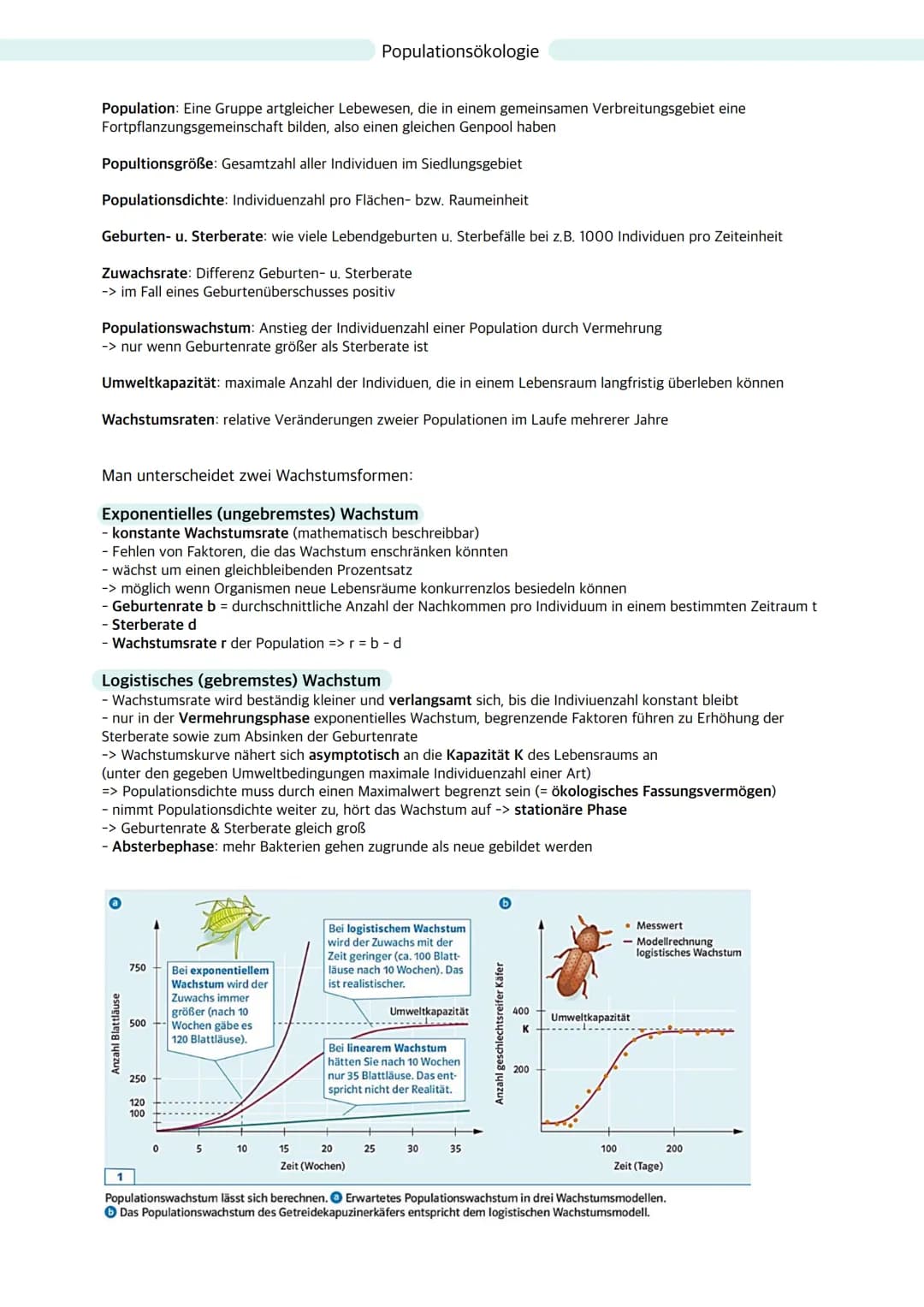 Ökologie
Ökosystem: Wechselbeziehungen zwischen Organismen und ihrer Umwelt; dynamisches Beziehungsgefüge
aus Biozönose (Lebensgemeinschaft)
