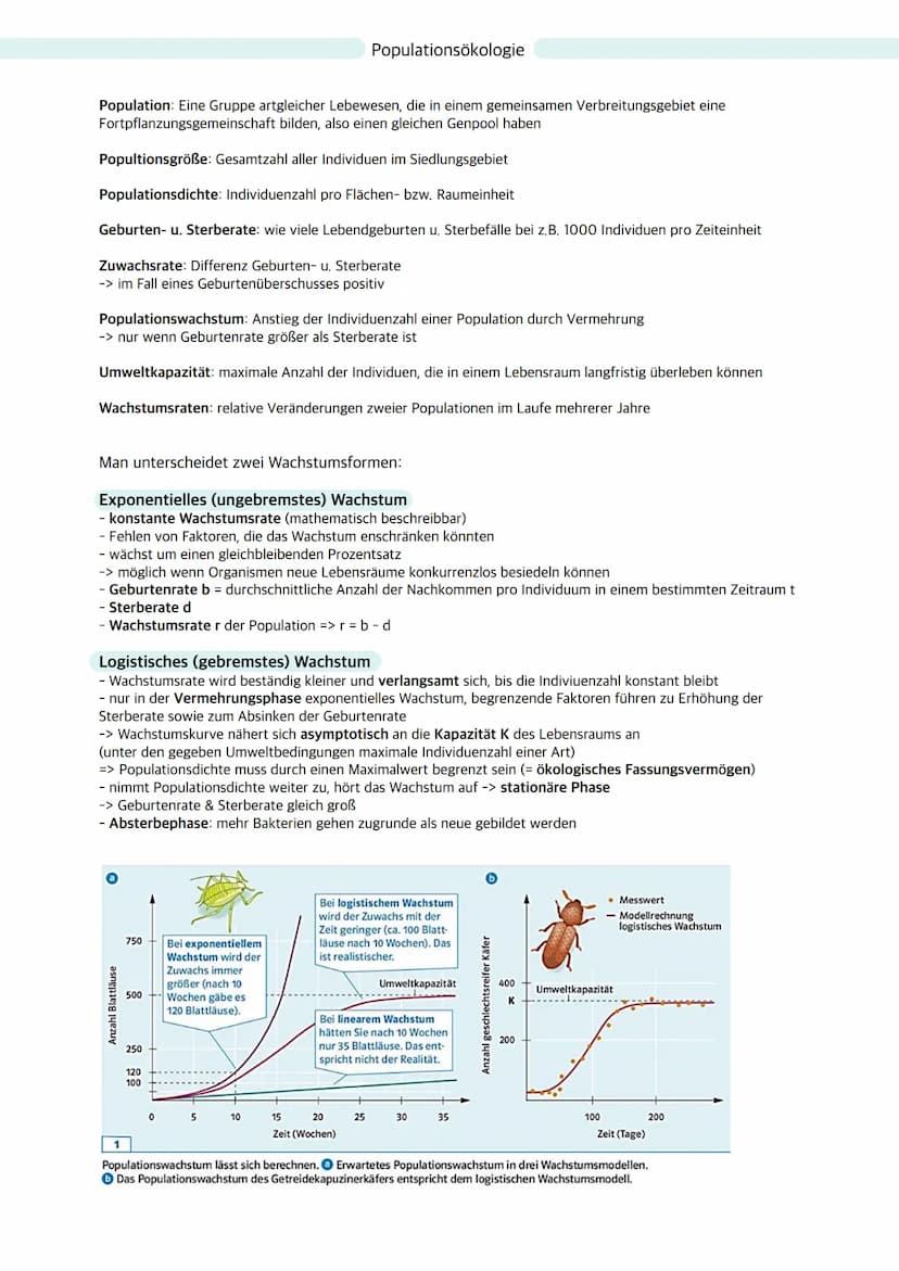 Ökologie
Ökosystem: Wechselbeziehungen zwischen Organismen und ihrer Umwelt; dynamisches Beziehungsgefüge
aus Biozönose (Lebensgemeinschaft)