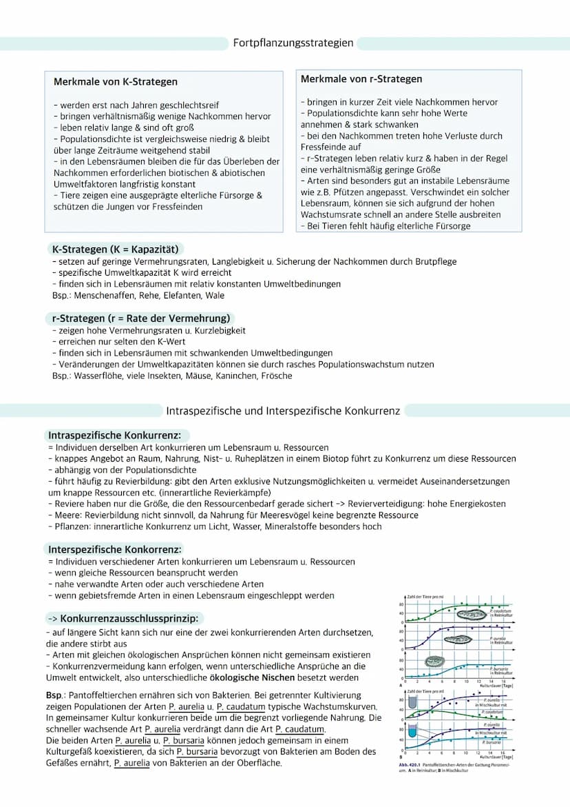 Ökologie
Ökosystem: Wechselbeziehungen zwischen Organismen und ihrer Umwelt; dynamisches Beziehungsgefüge
aus Biozönose (Lebensgemeinschaft)