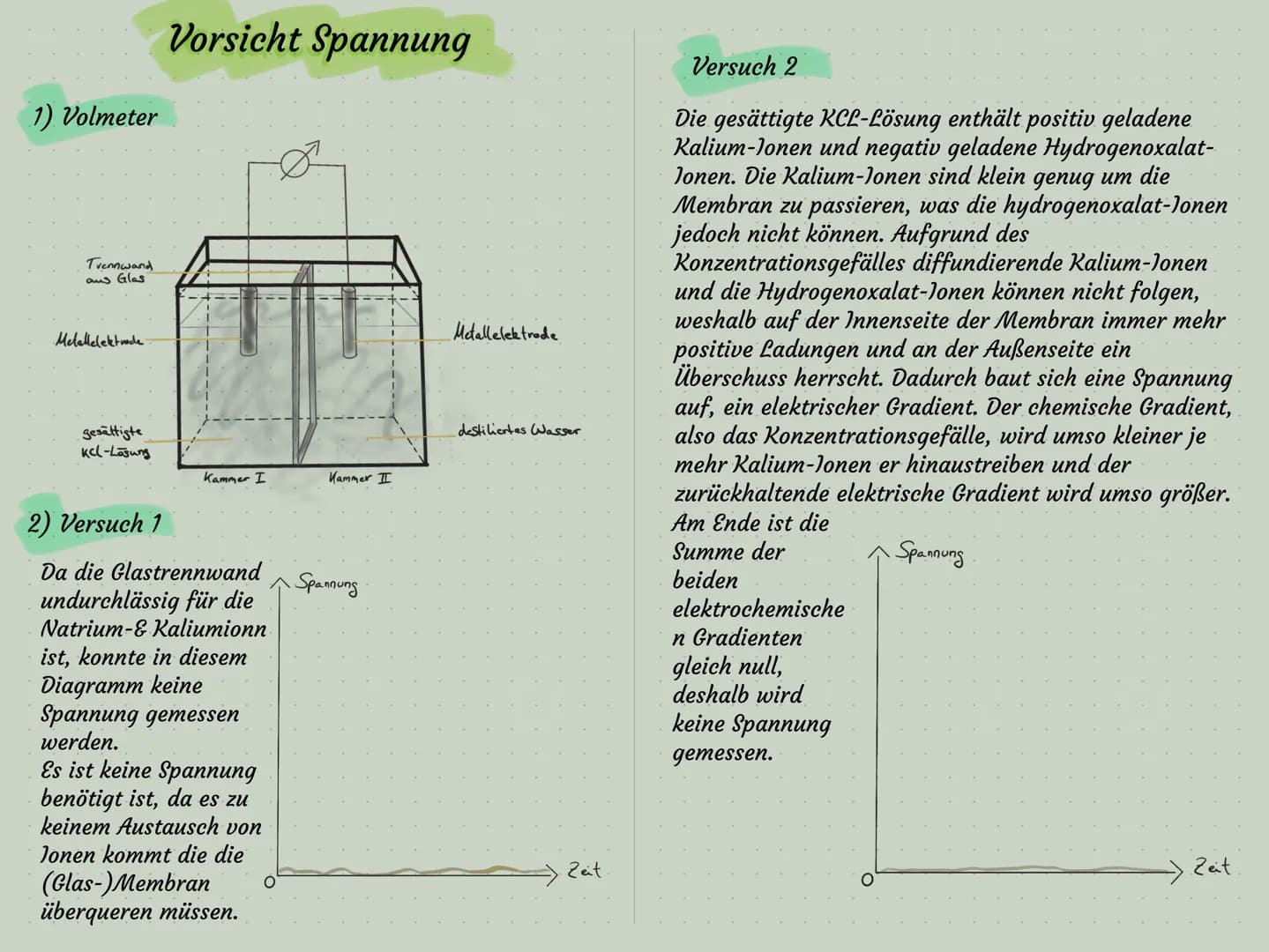 
<h2 id="elektrochemischergradienteinfacherklrt">Elektrochemischer Gradient einfach erklärt</h2>
<p>Die Messung des Ruhepotentials einer Ner