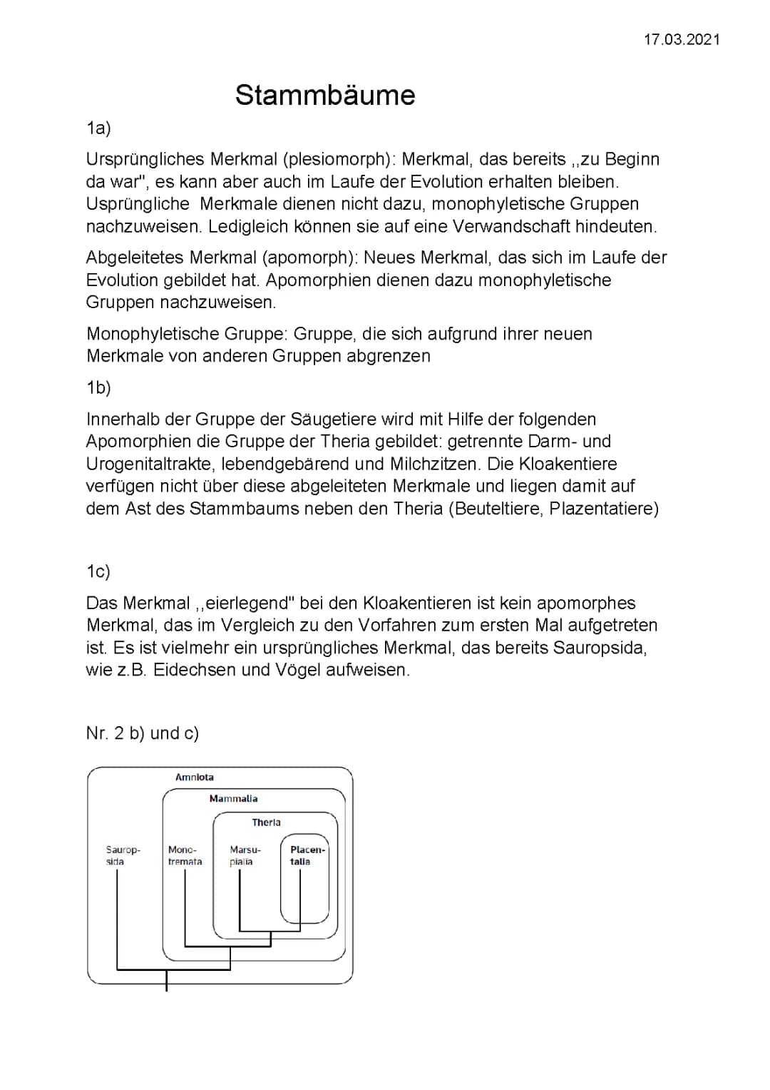 Wie du einen Phylogenetischen Stammbaum erstellst: Einfache Übungen und Tipps