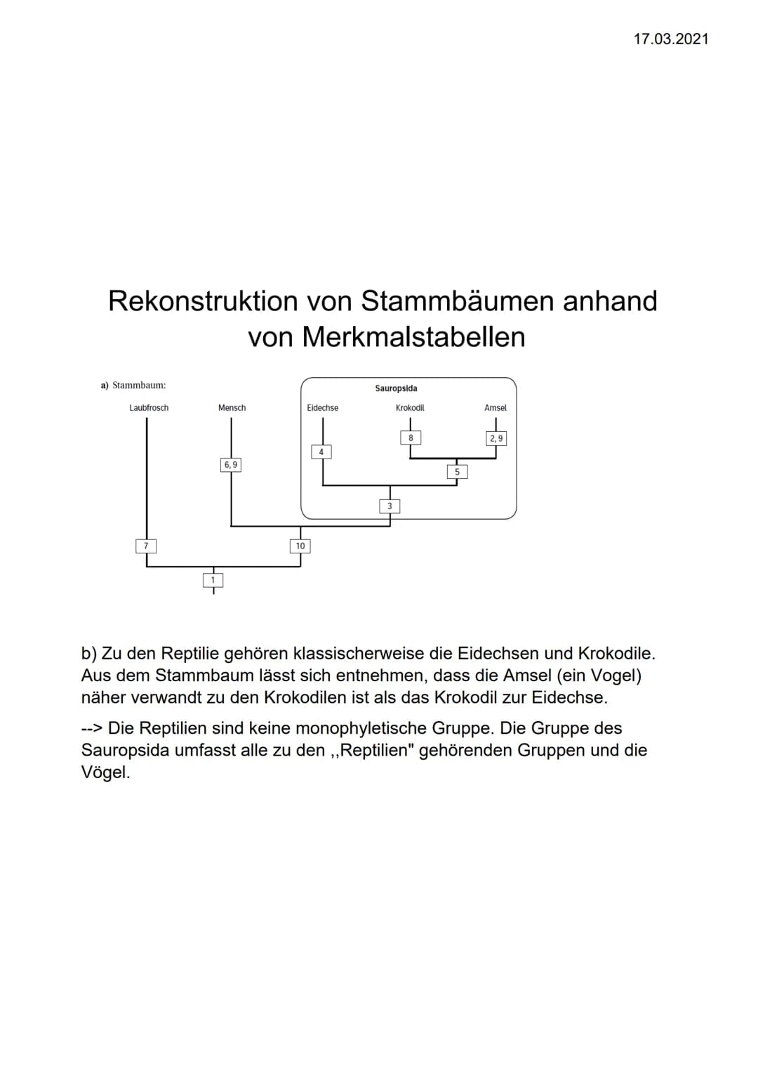 1a)
Ursprüngliches Merkmal (plesiomorph): Merkmal, das bereits ,,zu Beginn
da war", es kann aber auch im Laufe der Evolution erhalten bleibe