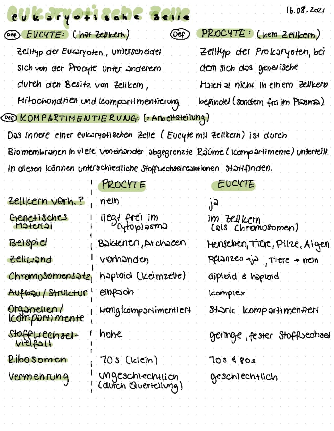 Eukaryoten und Prokaryoten