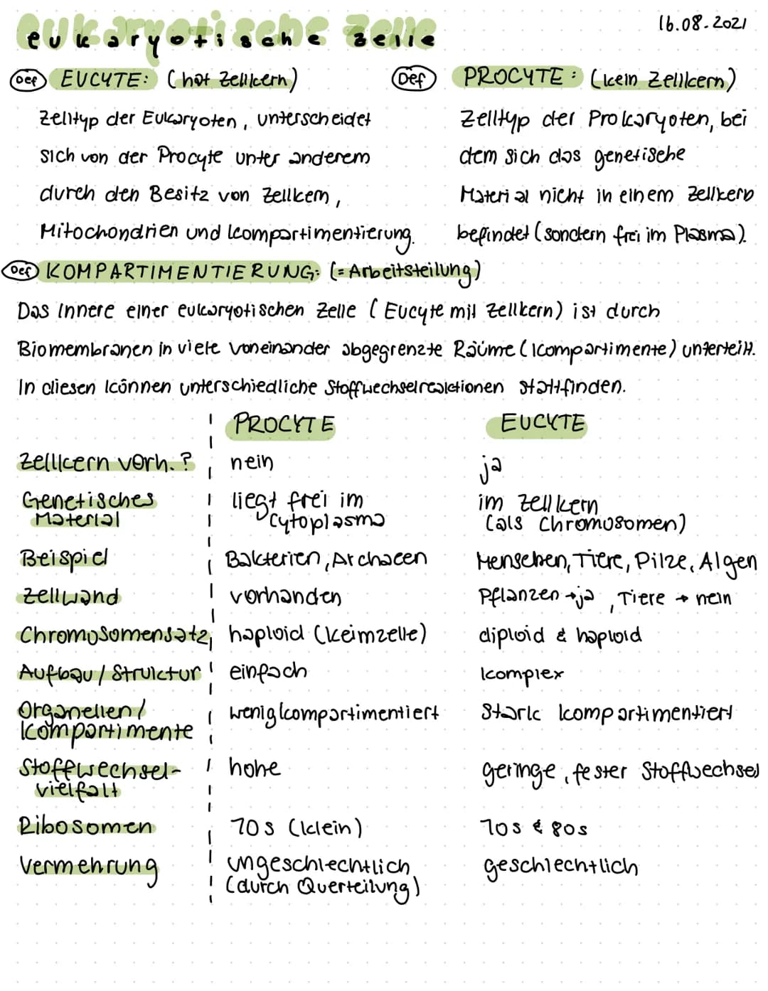 eukaryotische
of EUCYTE: Chat Zellkern)
Zellicern vorh. ?
Genetisches
Material
Beispiel
Zellwand
Zelltyp der Eukaryoten, unterscheidet
Sich 