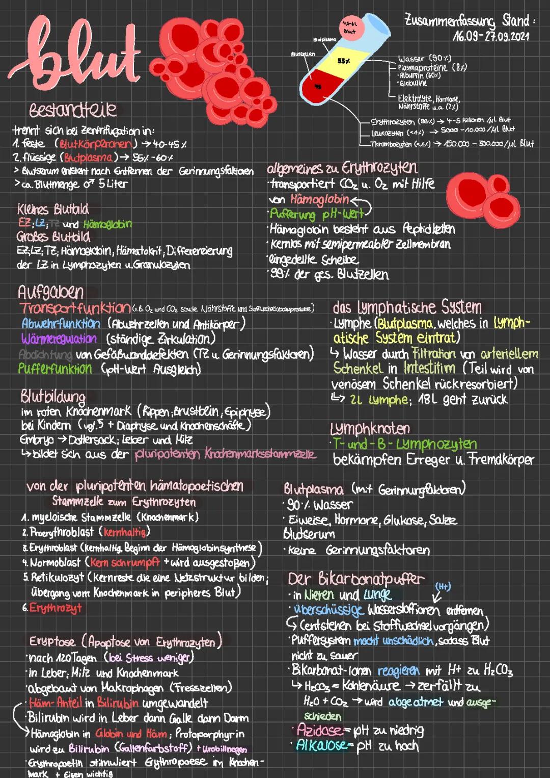 Blut (Lehrplaneinheit) 