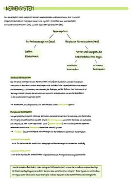 Know Neurobiologies Abi Lernzettel thumbnail