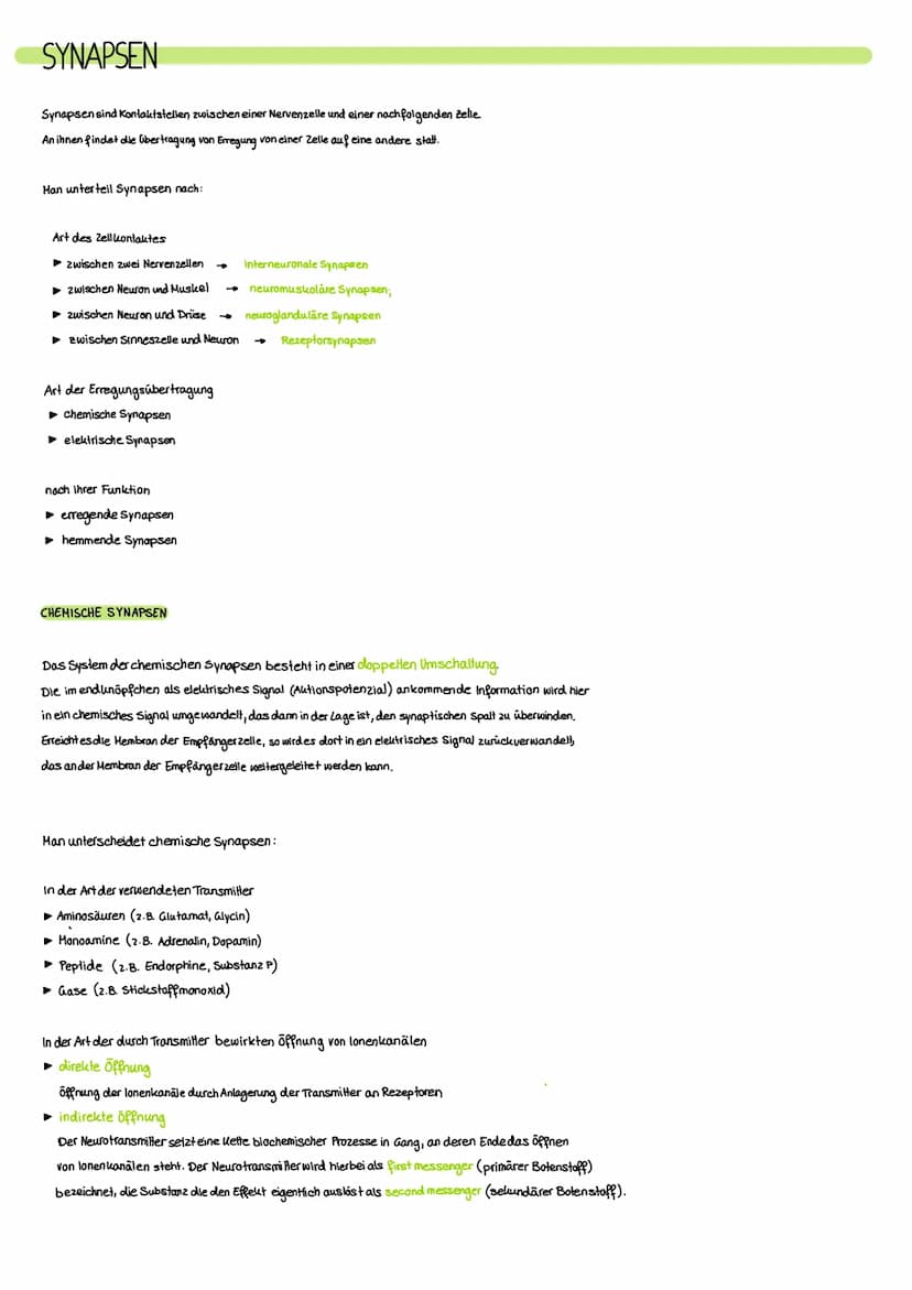 NERVENSYSTEM
Das Nervensystem ist ein komplexes Netzwerk aus Nervenzellen und Nervenfasern, das in unserem
Körper eine Vielzahl von Funktion