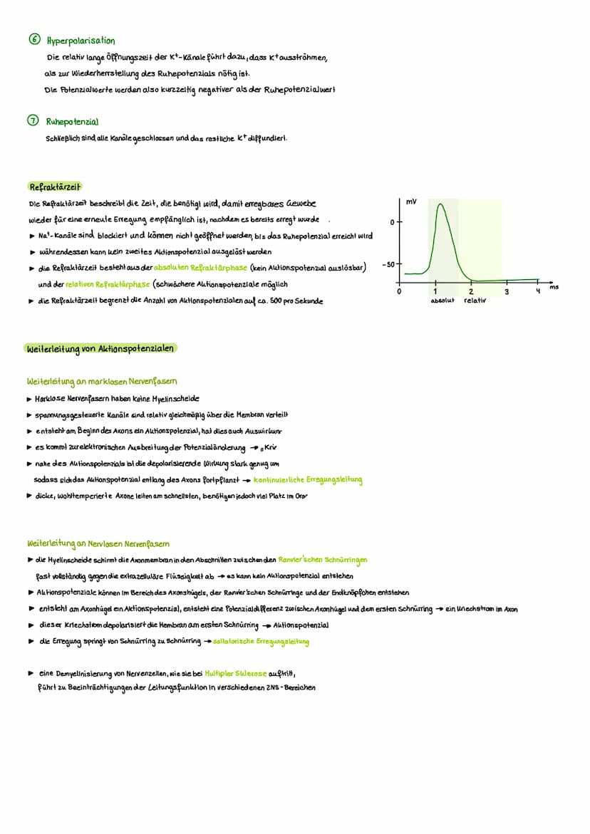 NERVENSYSTEM
Das Nervensystem ist ein komplexes Netzwerk aus Nervenzellen und Nervenfasern, das in unserem
Körper eine Vielzahl von Funktion
