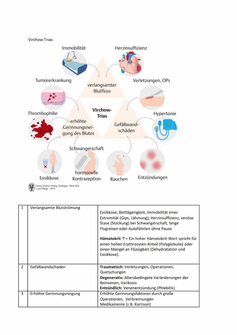CE 05, LS 5.3.2 Thromboseprophylaxe
Thrombus:
Blutgerinnsel (,,Blutpfropf") in einem Gefäß. Er kann in Venen und Arterien entstehen.
Thrombo