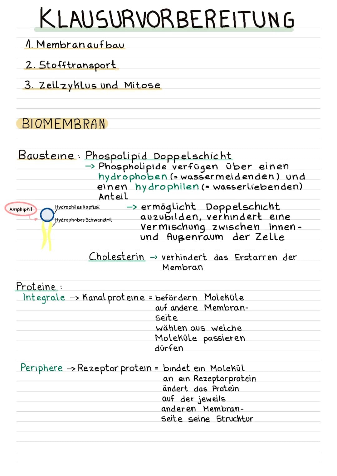 Biomembran 