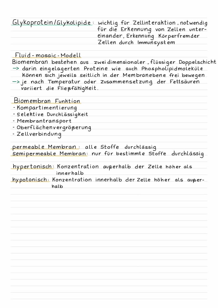 KLAUSURVORBEREITUNG
1. Membran aufbau
2. Stofftransport
3. Zellzyklus und Mitose
BIOMEMBRAN
Bausteine Phospolipid Doppelschicht
Amphiphil
O
