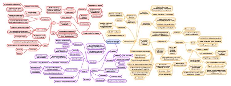 Know Neurobiologie  thumbnail