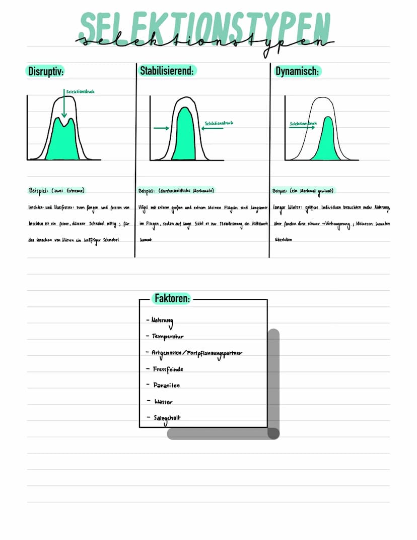 h m
124
ah_
Evolution
m-
M-
125
fe
126
h..
-m-
h
123
127 DEFINITIONEN
Artbegriff: biologischer Artbegiff: Eine Gruppe von Individuen bidet d