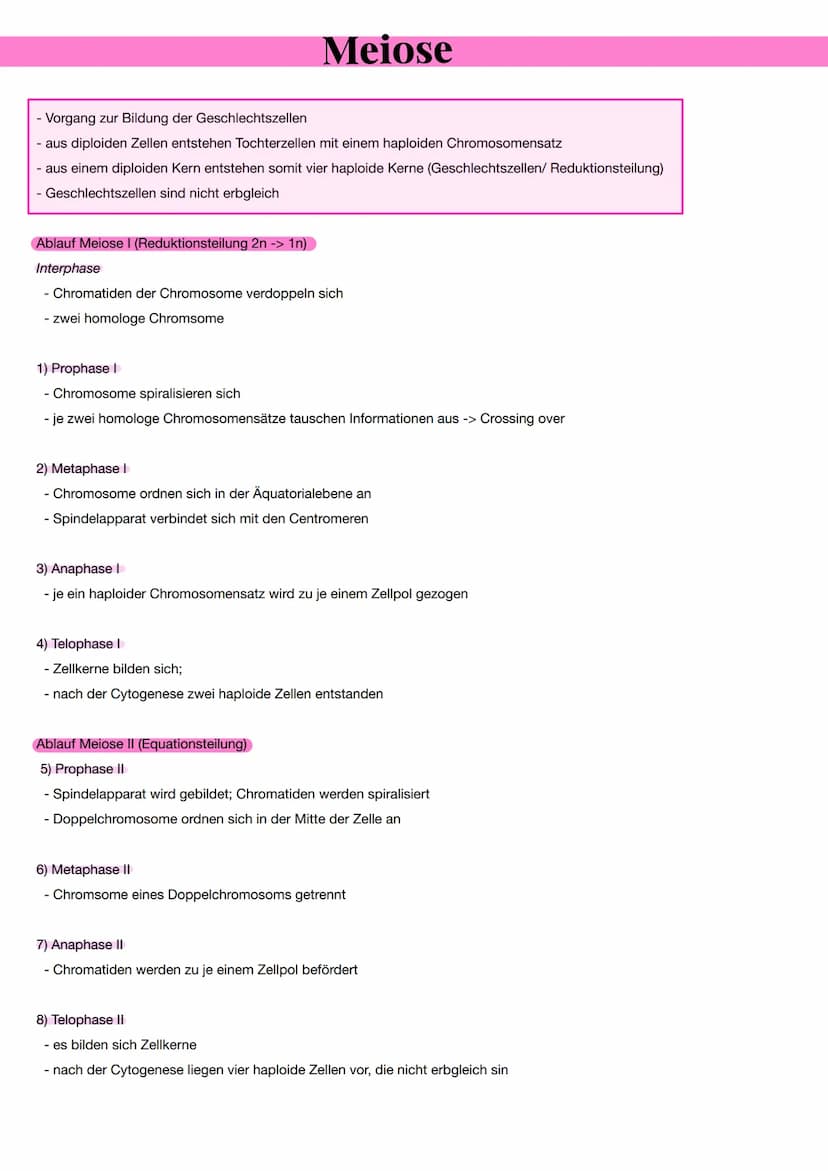 Aufbau des Chromosoms
Aufbau eines Chromosoms:
- Chromosome bestehen aus DNA-Moleküle
- es ist aus den Nukleotiden aufgebaut
- Nukleotid bes