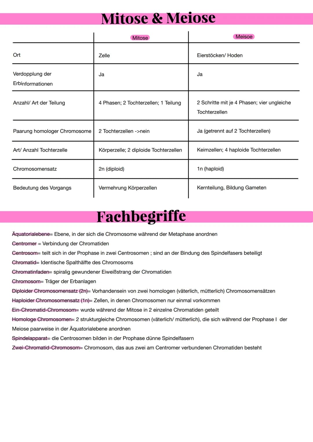 Aufbau des Chromosoms
Aufbau eines Chromosoms:
- Chromosome bestehen aus DNA-Moleküle
- es ist aus den Nukleotiden aufgebaut
- Nukleotid bes