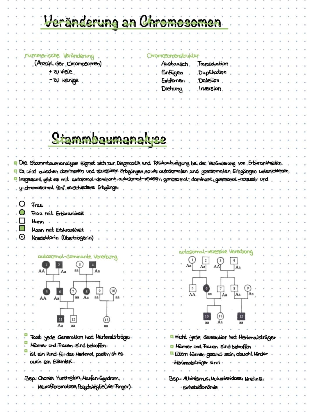 Stammbaumanalyse 