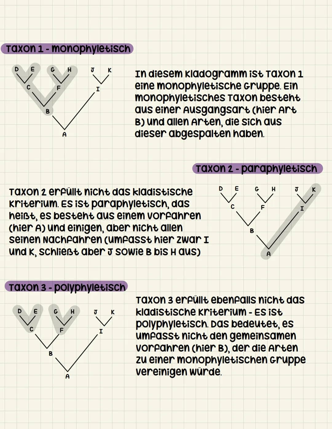 Systematik
Klassische systematik
•Künstliches system: ordnungsschema
nach willkürlich gewählten
unterscheidungsmerkmalen
• alle organismen k