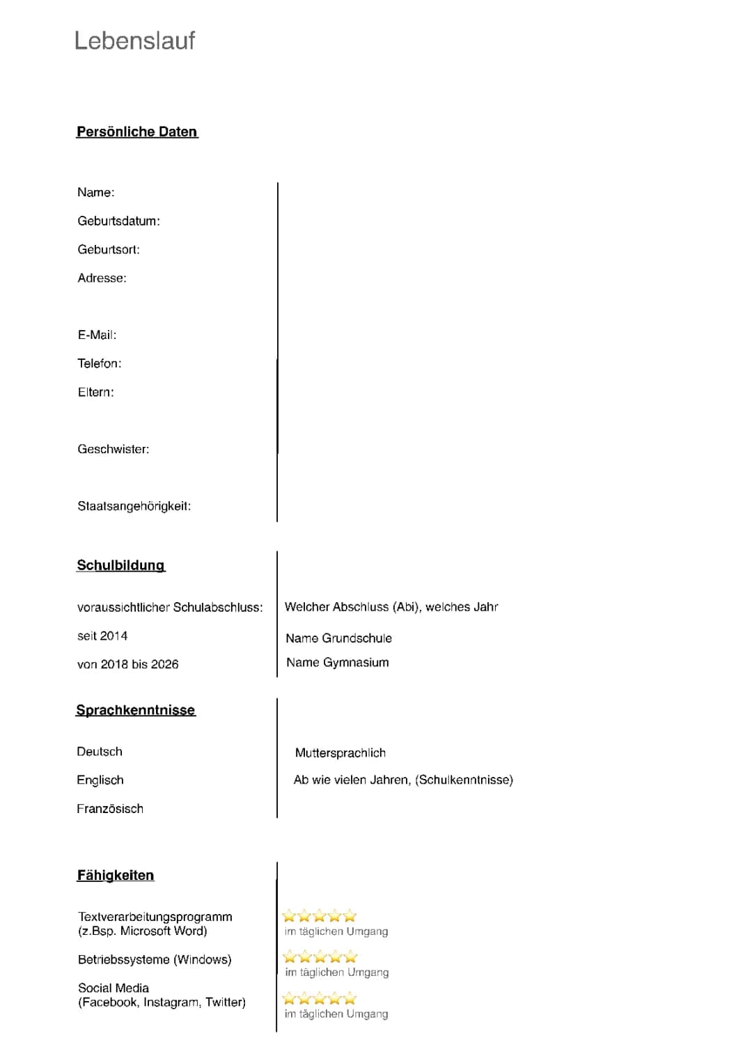 Lebenslauf Vorlage 
