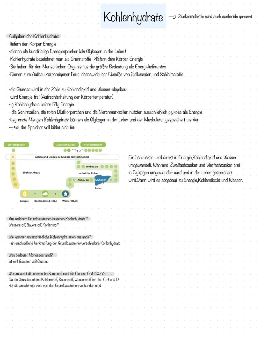 Aufgaben der Kohlenhydrate:
-liefern den Körper Energie
-dienen als kurzfristige Energiespeicher (als Glykogen in der Leber)
-Kohlenhydrate 