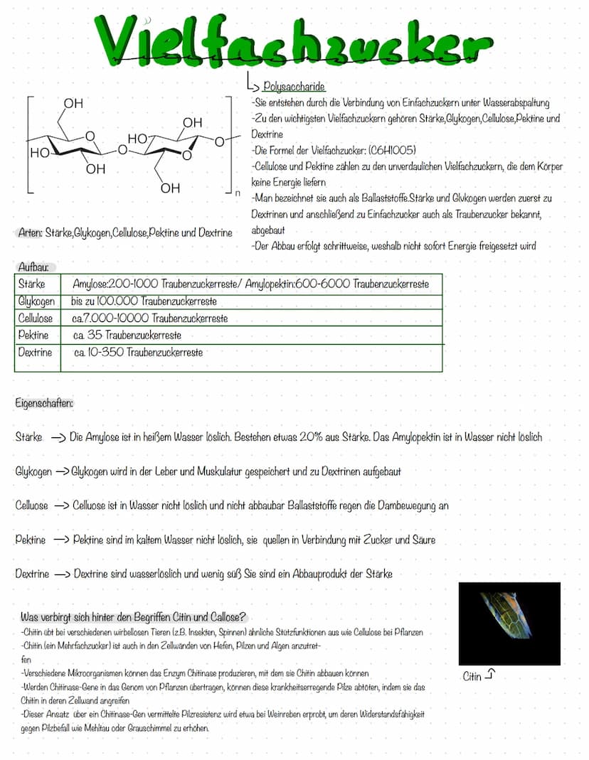 Aufgaben der Kohlenhydrate:
-liefern den Körper Energie
-dienen als kurzfristige Energiespeicher (als Glykogen in der Leber)
-Kohlenhydrate 