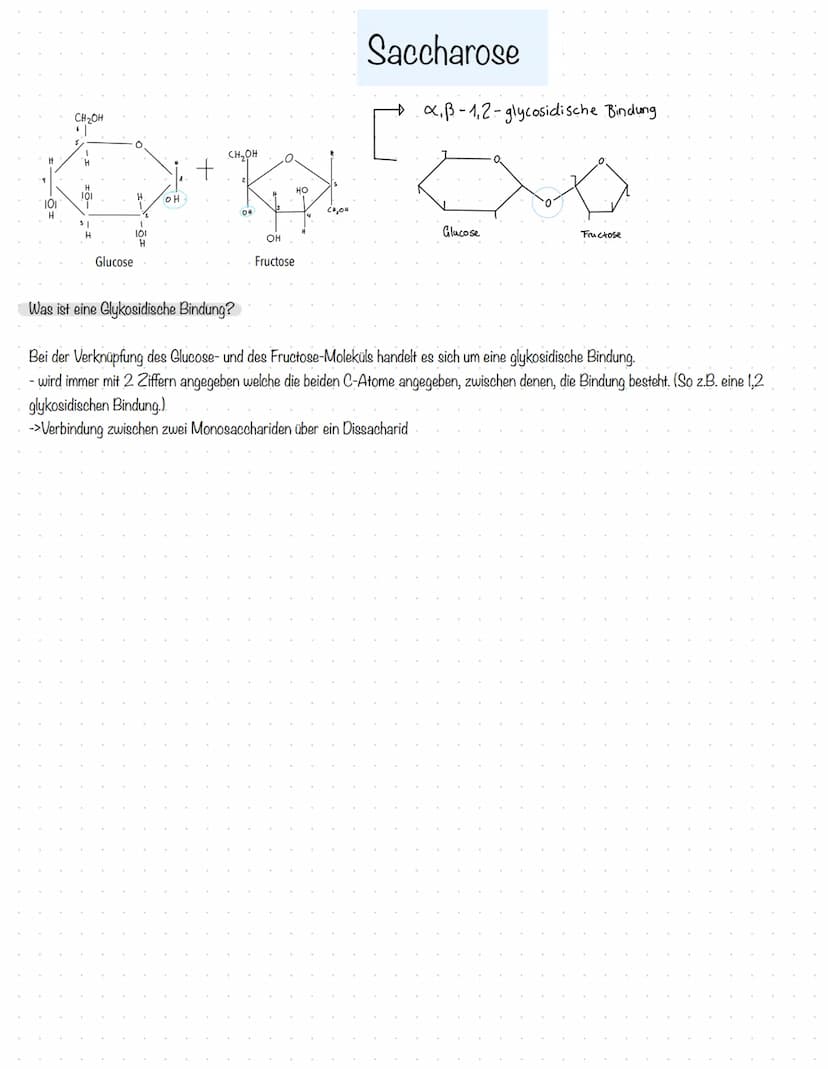 Aufgaben der Kohlenhydrate:
-liefern den Körper Energie
-dienen als kurzfristige Energiespeicher (als Glykogen in der Leber)
-Kohlenhydrate 