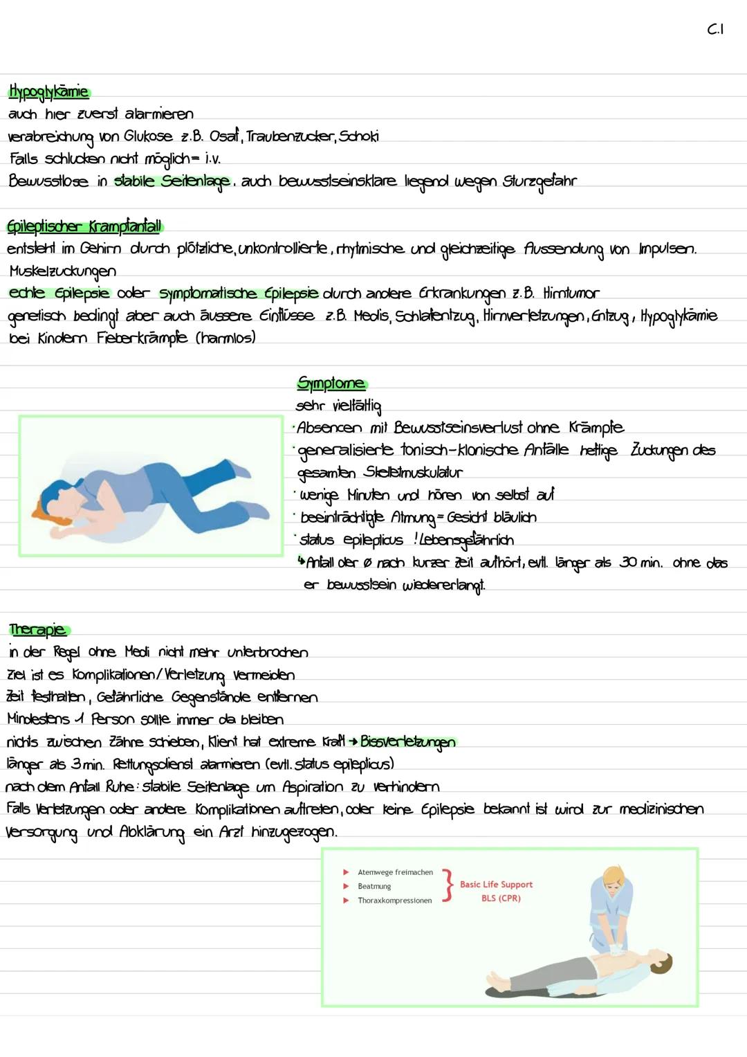 Einflussfaktoren
Körperlich: körperliche Gebrechen z. B. Paraplegie, freiliegende Gliedmassen, Blindheit erschweren Situationen, auch alter
