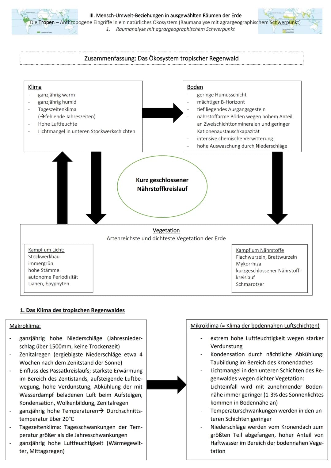 ● III. Mensch-Umwelt-Beziehungen in ausgewählten Räumen der Erde
Die Tropen - Anthropogene Eingriffe in ein natürliches Ökosystem (Raumanaly