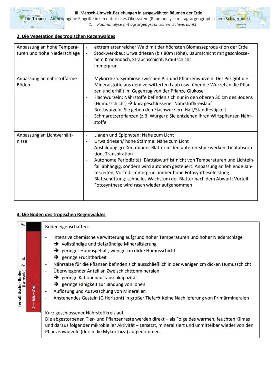 ● III. Mensch-Umwelt-Beziehungen in ausgewählten Räumen der Erde
Die Tropen - Anthropogene Eingriffe in ein natürliches Ökosystem (Raumanaly