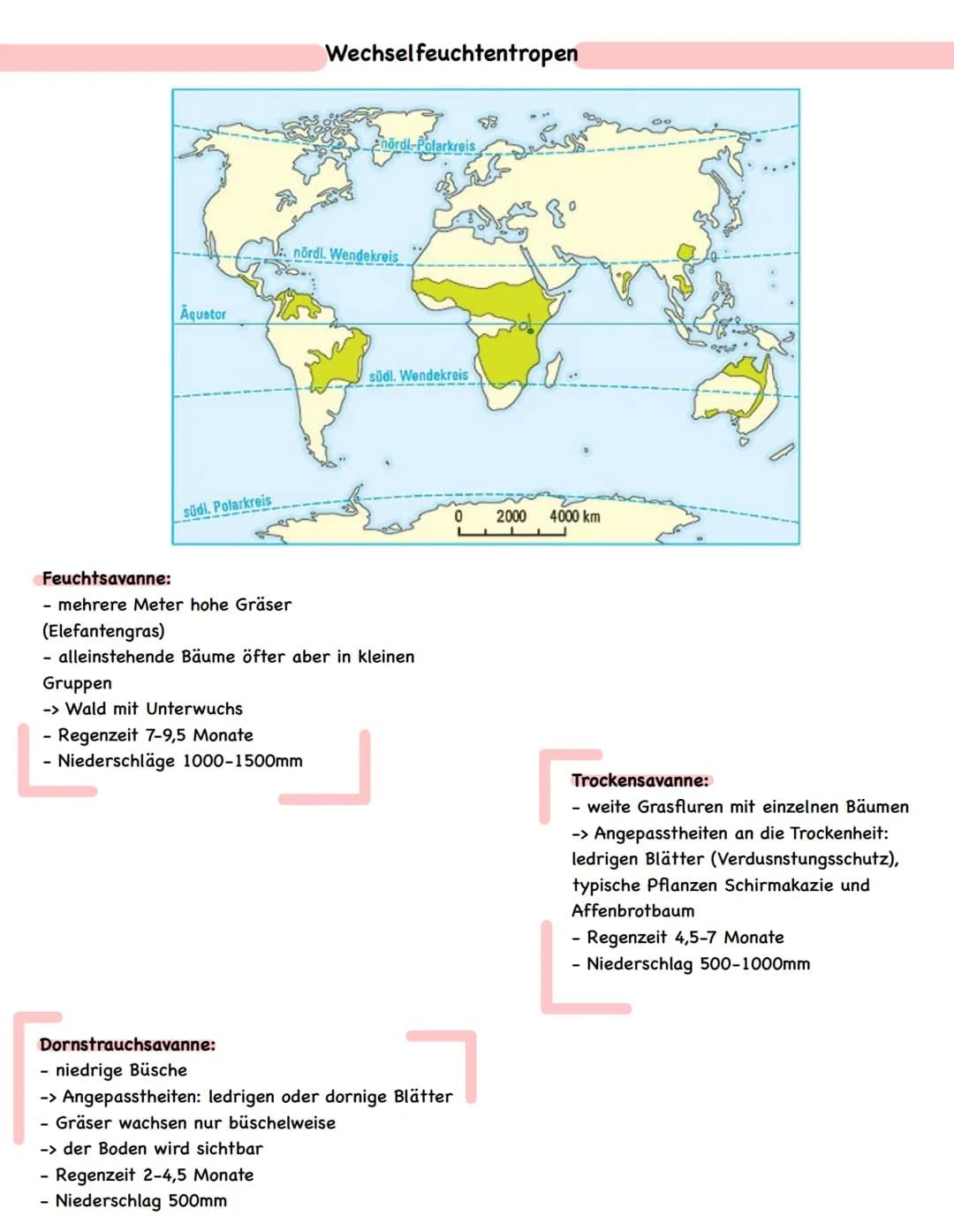 ● III. Mensch-Umwelt-Beziehungen in ausgewählten Räumen der Erde
Die Tropen - Anthropogene Eingriffe in ein natürliches Ökosystem (Raumanaly