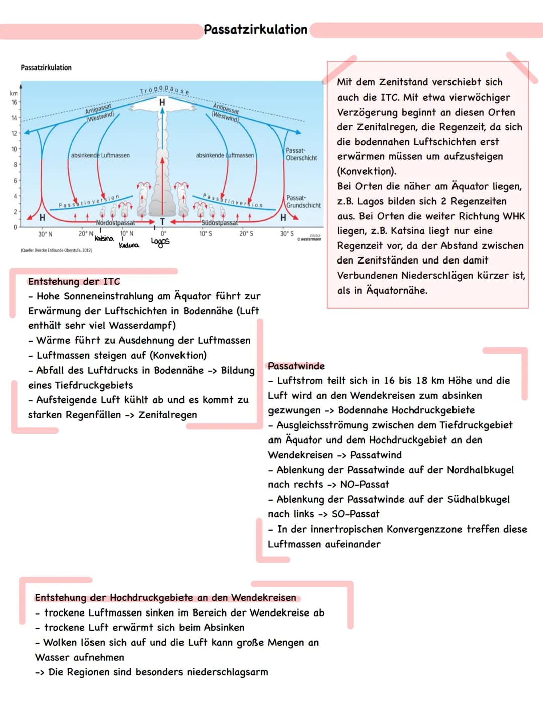 ● III. Mensch-Umwelt-Beziehungen in ausgewählten Räumen der Erde
Die Tropen - Anthropogene Eingriffe in ein natürliches Ökosystem (Raumanaly