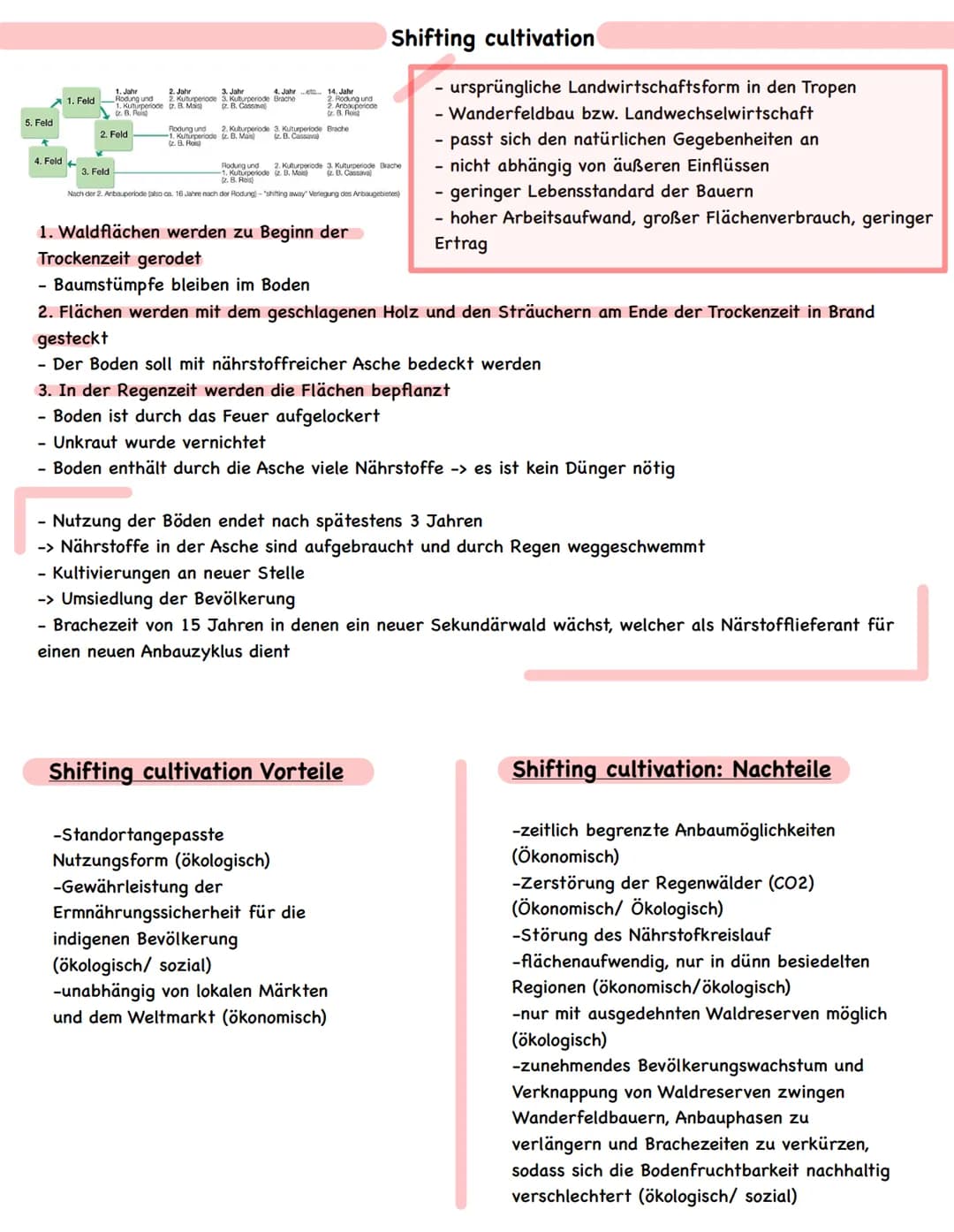 ● III. Mensch-Umwelt-Beziehungen in ausgewählten Räumen der Erde
Die Tropen - Anthropogene Eingriffe in ein natürliches Ökosystem (Raumanaly