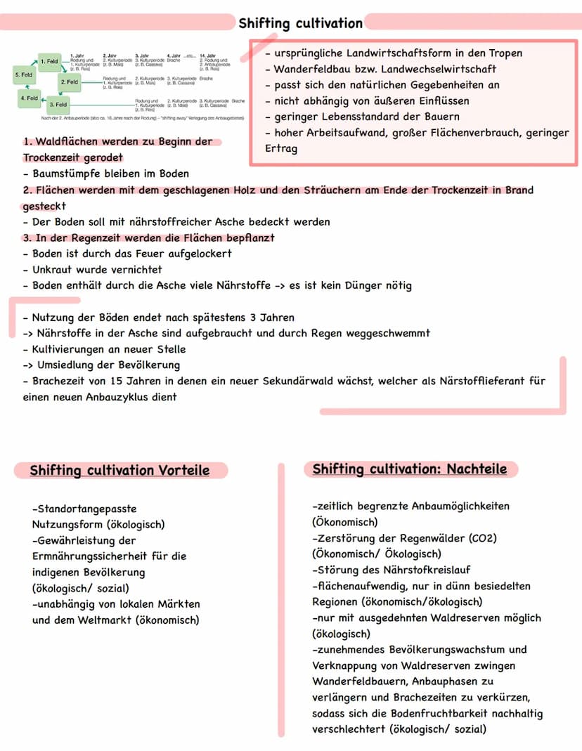 ● III. Mensch-Umwelt-Beziehungen in ausgewählten Räumen der Erde
Die Tropen - Anthropogene Eingriffe in ein natürliches Ökosystem (Raumanaly