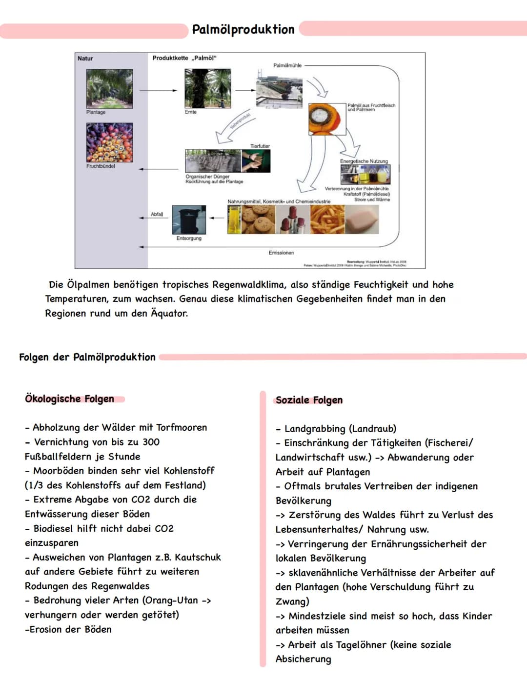 ● III. Mensch-Umwelt-Beziehungen in ausgewählten Räumen der Erde
Die Tropen - Anthropogene Eingriffe in ein natürliches Ökosystem (Raumanaly