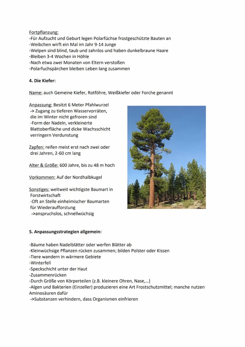 Florian Britsch
GFS 2016 EK
1. Länder in der kalten Zone:
2. Klima:
Nordhalbkugel:
Anpassung von Pflanzen und Tieren
an die kalte Zone
Alask