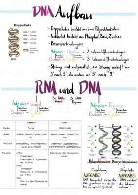 Know DNA und RNA thumbnail