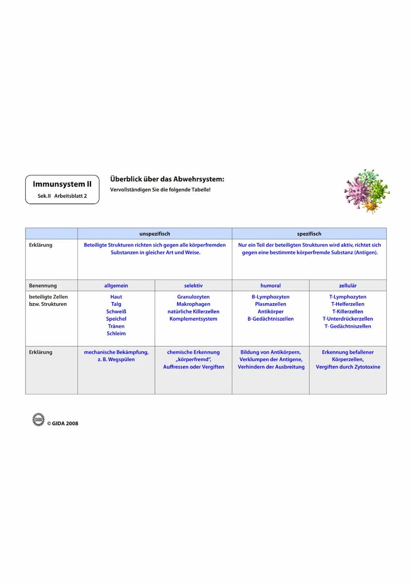 Immunsystem II
Sek.II Arbeitsblatt 1
Zellwand
(Schutz)
EGIDA
Zellmembran
(Ort chemischer
Reaktionen)
Größe
Äußere Hülle
Geißel
Bakterienzell