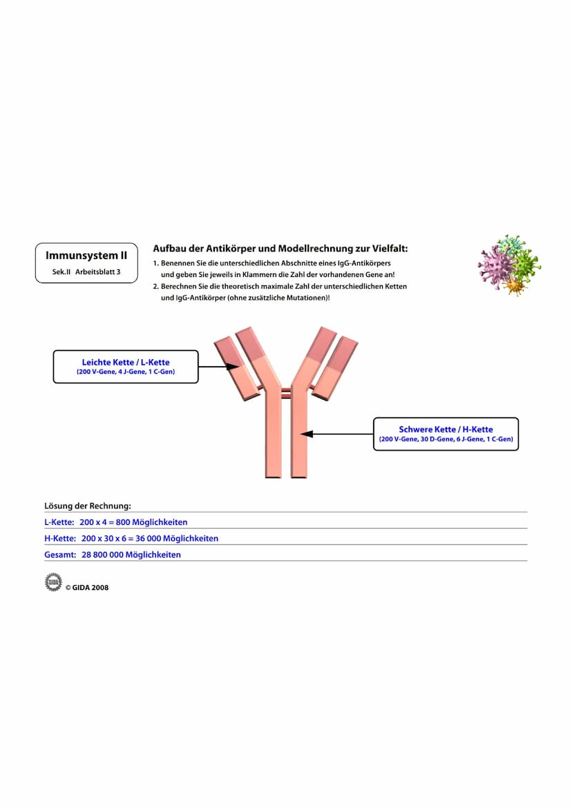 Immunsystem II
Sek.II Arbeitsblatt 1
Zellwand
(Schutz)
EGIDA
Zellmembran
(Ort chemischer
Reaktionen)
Größe
Äußere Hülle
Geißel
Bakterienzell
