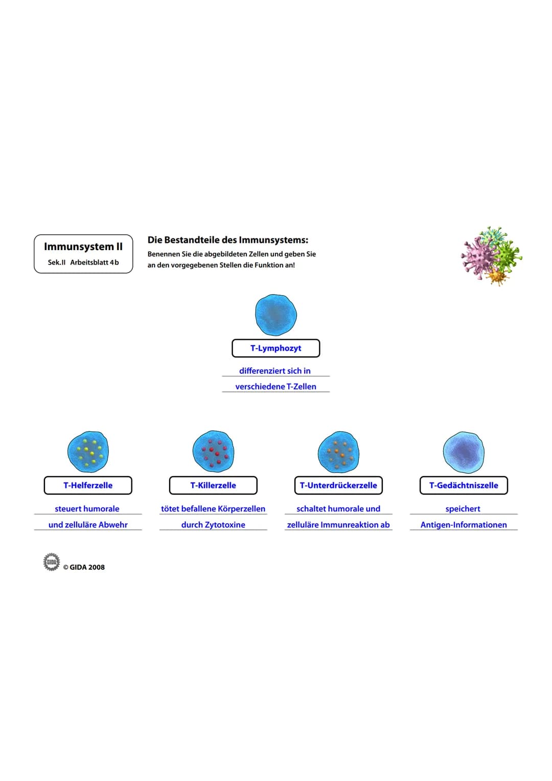Immunsystem II
Sek.II Arbeitsblatt 1
Zellwand
(Schutz)
EGIDA
Zellmembran
(Ort chemischer
Reaktionen)
Größe
Äußere Hülle
Geißel
Bakterienzell