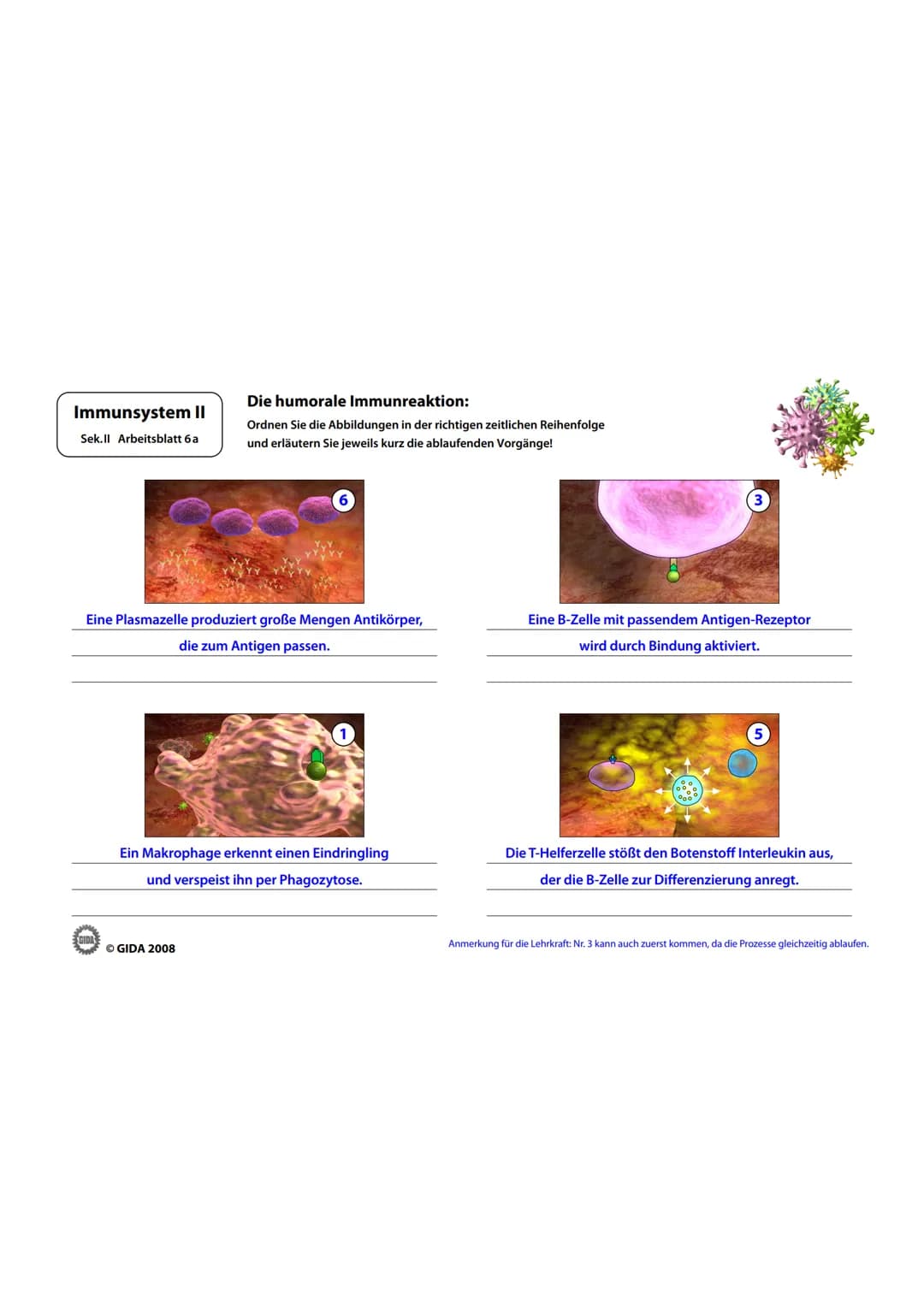 Immunsystem II
Sek.II Arbeitsblatt 1
Zellwand
(Schutz)
EGIDA
Zellmembran
(Ort chemischer
Reaktionen)
Größe
Äußere Hülle
Geißel
Bakterienzell