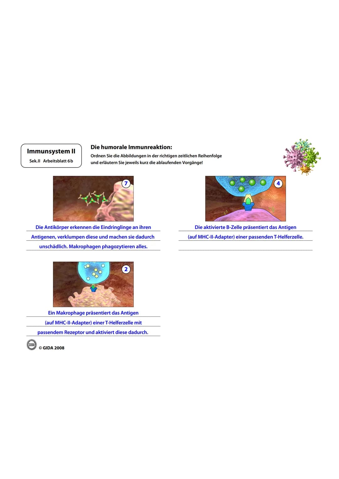 Immunsystem II
Sek.II Arbeitsblatt 1
Zellwand
(Schutz)
EGIDA
Zellmembran
(Ort chemischer
Reaktionen)
Größe
Äußere Hülle
Geißel
Bakterienzell