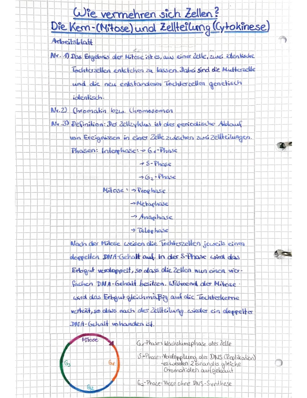 Wie vermehren sich Zellen?
Die Kern- (Mitose) und Zellteilung (Cytokinese)
Heute arbeitest du mit dem Lernangebot
"Die Zellteilung Mitose"
v