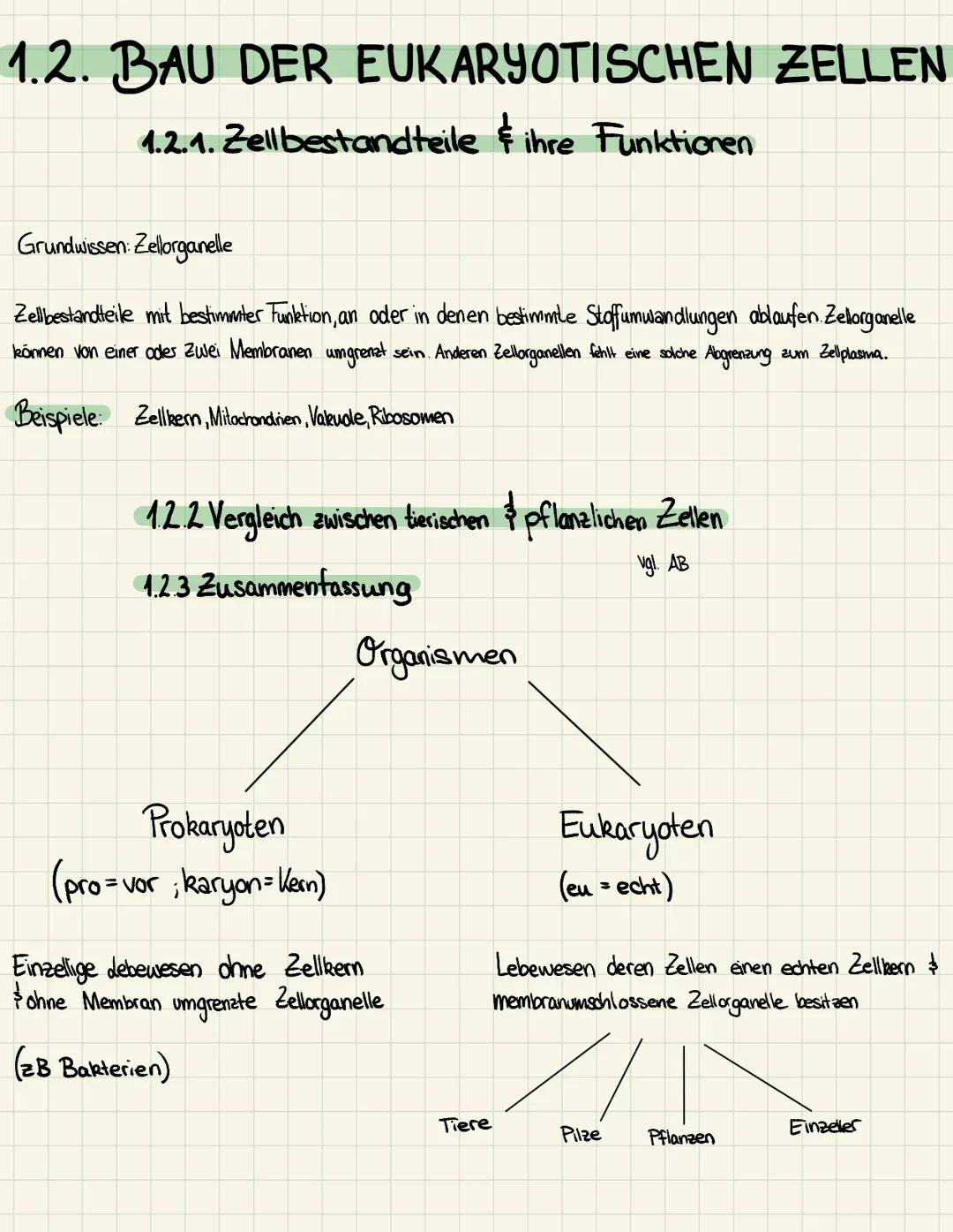 1.1. BAU EINER BAKTERIENZELLE -
prokaryotische Zelle
Schleim-
kapsel
Zellwand
Zellplasma
Zellmembran
до
Ribosome
@²
Geißel
Plasmide
ringförm