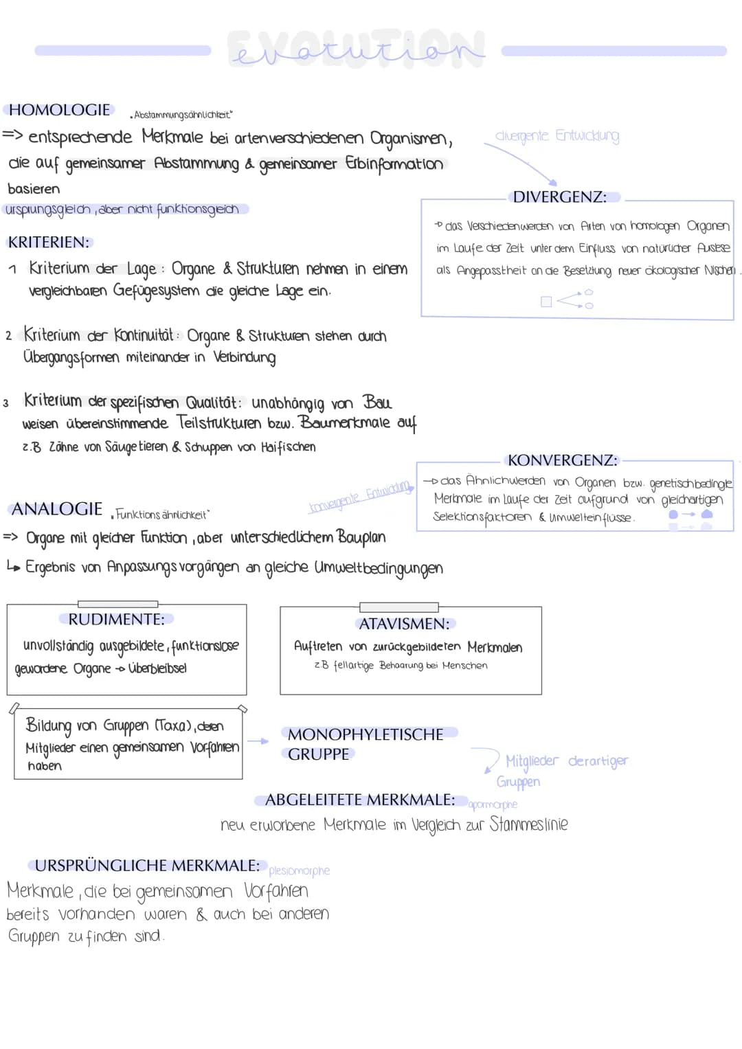 HOMOLOGIE
.Abstammungsöhnlichkeit"
=> entsprechende Merkmale bei artenverschiedenen Organismen,
die auf gemeinsamer Abstammung & gemeinsamer