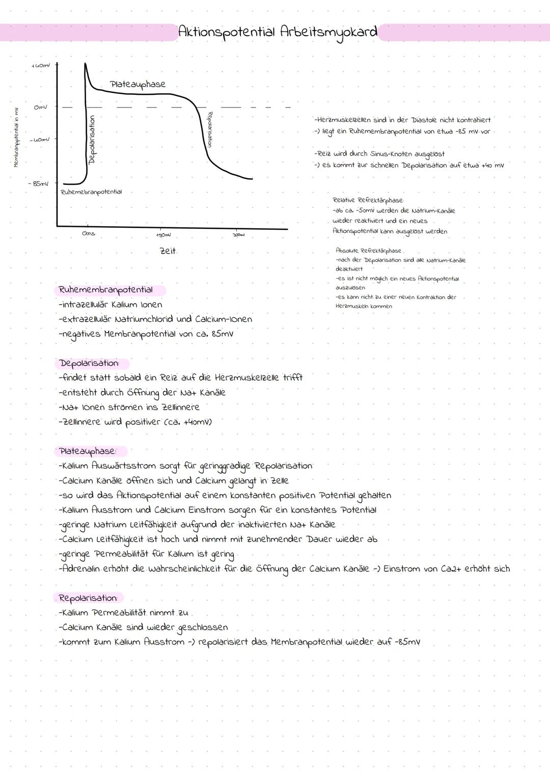Das Herz

Themenübersicht
-Anatomie des Herzens
-Systole und Diastole
-Frank-Starling-Mechanismus (Vor- und Nachlast)
-Erregungsleitung
-EKG
