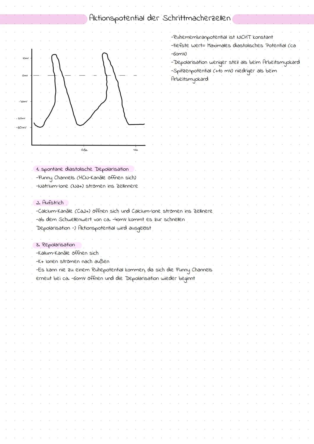 Das Herz

Themenübersicht
-Anatomie des Herzens
-Systole und Diastole
-Frank-Starling-Mechanismus (Vor- und Nachlast)
-Erregungsleitung
-EKG