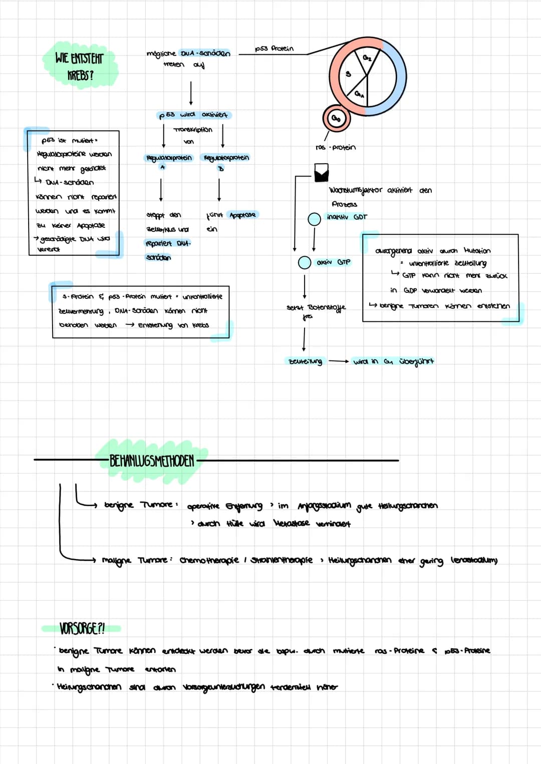 Regulatorgen
ENDPRODUKTRERESSION
mRNA
!
GENREGULATION
PROKARYOTEN&EUKARYOTEN
inaktiver Repressor
OPERON -
MODELL
Promotor
Operon
Operator
Di