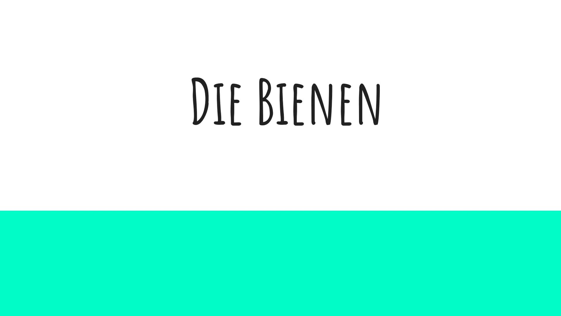 DIE BIENEN DIE VERSCHIEDENEN ARTEN VON BIENEN
1. Die
Bienenkönigin
2. Die Arbeits
Bienen
3. Die Drohnen
Sie alle haben
Aufgaben im
Bienensto