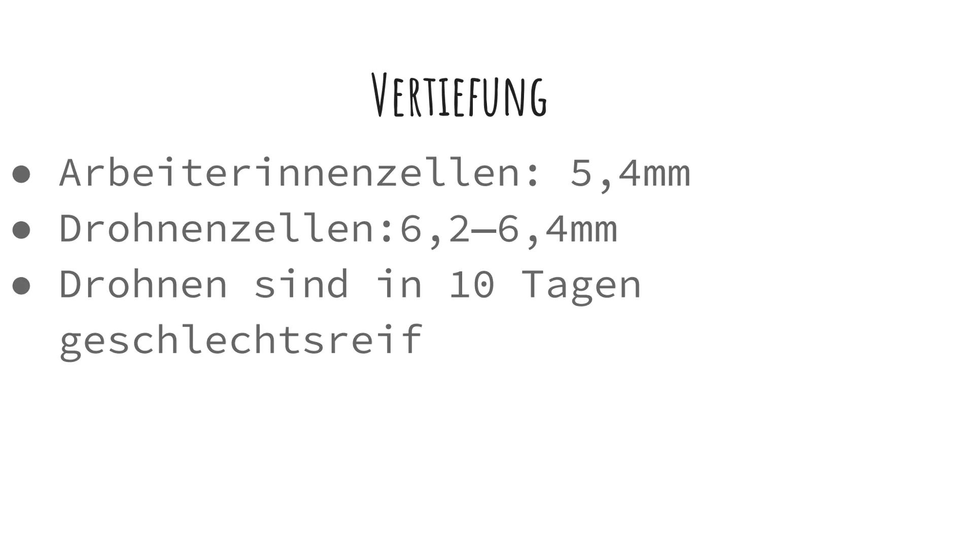 DIE BIENEN DIE VERSCHIEDENEN ARTEN VON BIENEN
1. Die
Bienenkönigin
2. Die Arbeits
Bienen
3. Die Drohnen
Sie alle haben
Aufgaben im
Bienensto